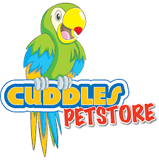 cuddles pet store